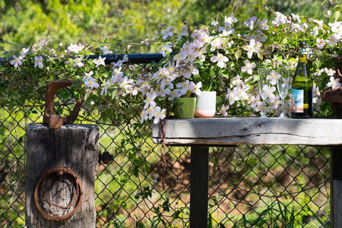 Cottage 4A - Holiday Great Ocean Road 4
