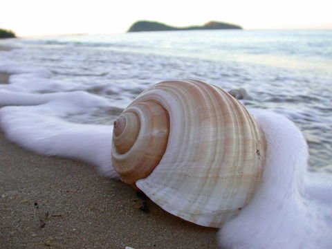 Argosy On The Beach - Holiday Great Ocean Road 18
