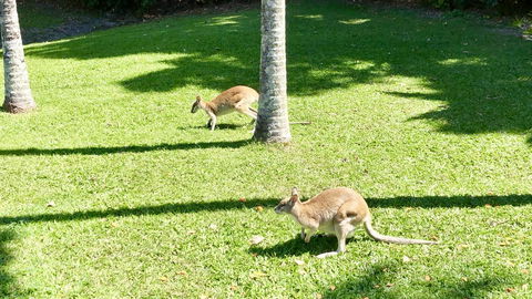 Argosy On The Beach - Holiday Great Ocean Road 15