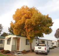 Wodonga Caravan  Cabin Park - Holiday Great Ocean Road