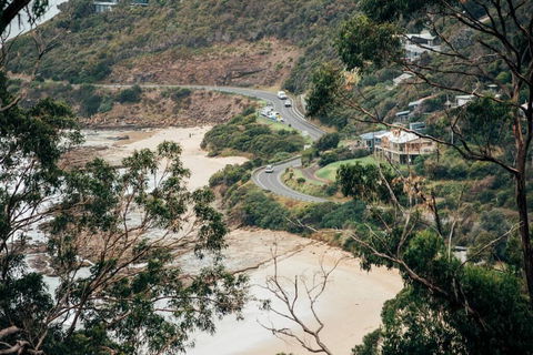 WYE UP - Through The Treetops. Out To The Sea. - Holiday Great Ocean Road 2