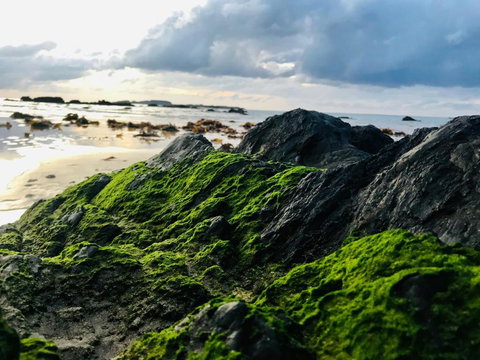 A Sanctuary At Denhams - Family & Pooch Friendly - Holiday Great Ocean Road 2