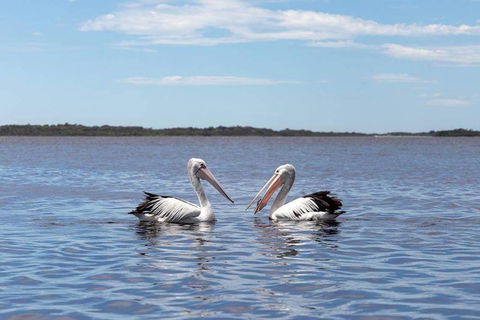 Amazing Ansons Bay Remote Paradise For The Family In The Bay Of Fires Area - Holiday Great Ocean Road 2