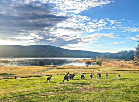 Anglers Reach Lakeside Village - Holiday Great Ocean Road 0