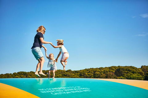 Anglesea Family Caravan Park - Holiday Great Ocean Road 3