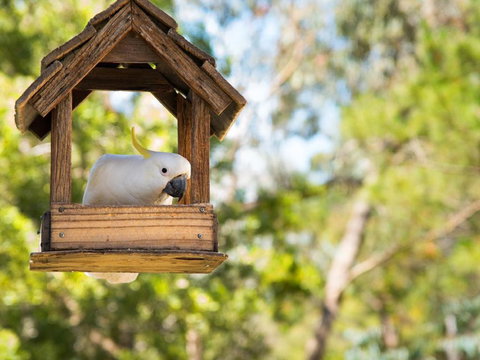 Ashling - Holiday Great Ocean Road 4