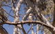 Avoca Cottages VICTORIA - thumb 2