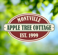 Apple Tree Cottage and Studio - Holiday Great Ocean Road
