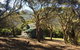 Serenity On High - thumb 6