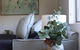 Dee Why Apartment On The Beach With Huge Balcony - thumb 4