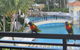Darren Surfers Apartment - thumb 0