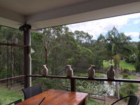 Book Upper Coomera Accommodation Vacations Holiday Great Ocean Road Holiday Great Ocean Road