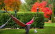 Hepburn View - thumb 3
