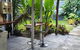 Hidden Garden - thumb 0