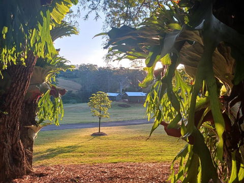 Hideaway Falls - Bunya Cottage - Holiday Great Ocean Road 3