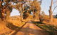 Highland Ten - Luxury Rustic Retreat - Sleeps 10 - thumb 1