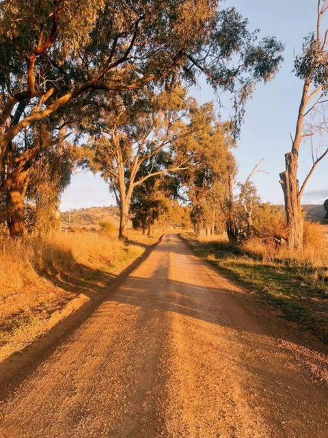 Highland Ten - Luxury Rustic Retreat - Sleeps 10 - Holiday Great Ocean Road 1