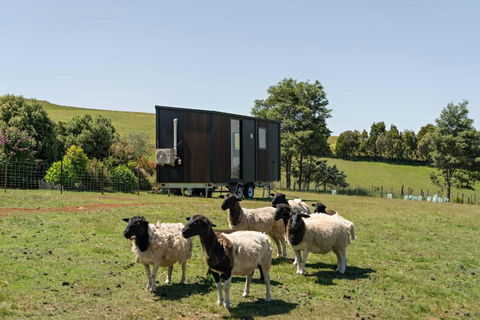 Hillside Hideout By Tiny Away - Holiday Great Ocean Road 2