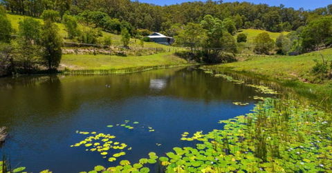 Hinterland Hideaway Farm Stay - Holiday Great Ocean Road 2