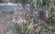 Hobreid Park - thumb 3