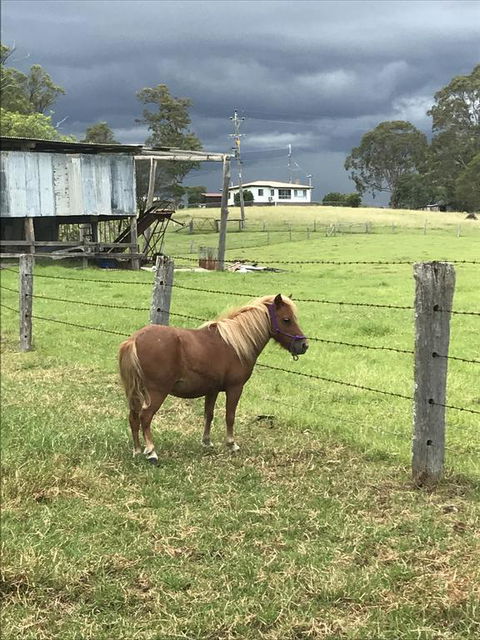 AMs Farm Stay - Holiday Great Ocean Road 0