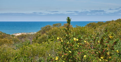 API Preston Beach Front Apartments - Holiday Great Ocean Road 2