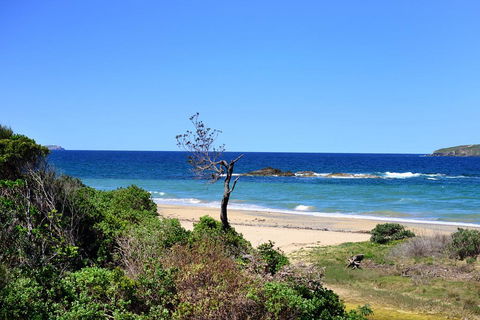 Aqualuna Beach Resort - Unit 25 - Holiday Great Ocean Road 3