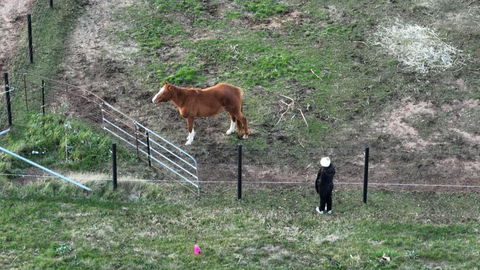Myrtle At Lexington Park - Holiday Great Ocean Road 1