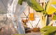 Noosa Air Element Dome - Simply Stunning Views - thumb 3