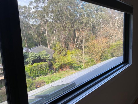 Pet And Friends B&B - Holiday Great Ocean Road 3