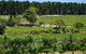 Picturesque Vineyard Farmhouse Nestled On 40-Acres - thumb 0