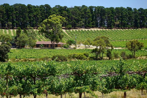 Picturesque Vineyard Farmhouse Nestled On 40-Acres - Holiday Great Ocean Road 0