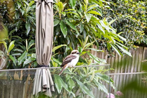 Quaint Queen Room - Central Location At Pymble - Shared Bathroom - Holiday Great Ocean Road 1