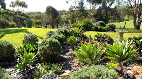 Austiny Bed And Breakfast Victor Harbor - Holiday Great Ocean Road 2