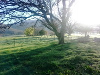 Book Mongans Bridge Accommodation Vacations Holiday Great Ocean Road Holiday Great Ocean Road