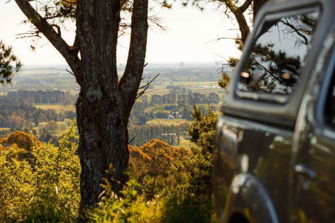 Romantic Luxury Tiny Home In An Idyllic Setting - Holiday Great Ocean Road 1