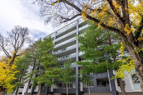 Serain Residences On Northbourne Ave Canberra - Holiday Great Ocean Road 2