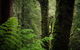 Serene And Wonderful Place To Recharge And Enjoy - thumb 2