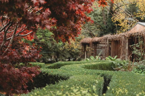 The Garden Suite - Holiday Great Ocean Road 1