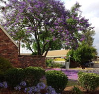 Belvoir Village Motel  Apartments Wodonga - Holiday Great Ocean Road
