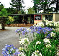 Blackheath Motor Inn - Holiday Great Ocean Road