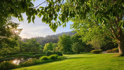 Tieve Tara - Holiday Great Ocean Road 1