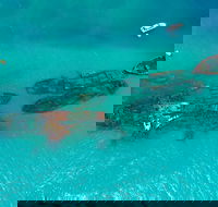 Private Tangalooma Wrecks Tour - Holiday Great Ocean Road