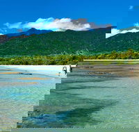 5-Day Best of Cairns with Daintree Kuranda and Great Barrier Reef - Holiday Great Ocean Road