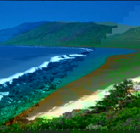 Cairns Reef and Rainforest Combo Daintree Rainforest and the Great Barrier Reef - Holiday Great Ocean Road