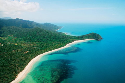 Cape Tribulation, Mossman Gorge, And Daintree Rainforest Premium Day Tour - Holiday Great Ocean Road 2