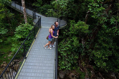 Cape Tribulation, Mossman Gorge, And Daintree Rainforest Premium Day Tour - Holiday Great Ocean Road 3