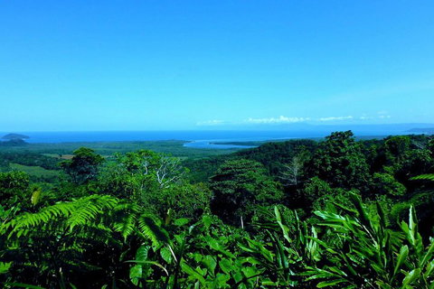Cape Tribulation, Mossman Gorge, And Daintree Rainforest Premium Day Tour - Holiday Great Ocean Road 5