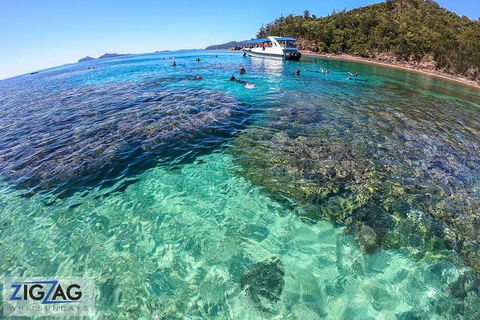 Whitehaven Beach Day Tour With Snorkel In Whitsundays Island - Holiday Great Ocean Road 5