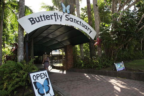Kuranda Day Trip From Port Douglas Upgrade To Skyrail & Scenic Train Available - Holiday Great Ocean Road 0